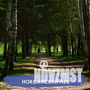 Коттедж 92м², 1-этажный, участок 10 сот.  