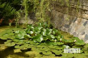 Дом 933м², 3-этажный, участок 33 сот.  