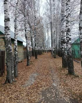 Дом 50м&sup2;, 1-этажный, участок 5 сот.  