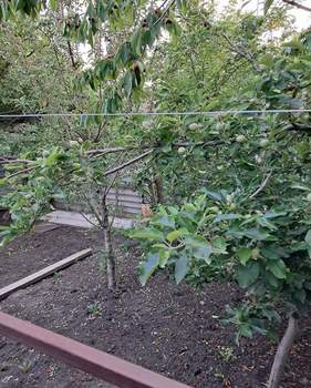 Дом 74м&sup2;, 1-этажный, участок 5 сот.  