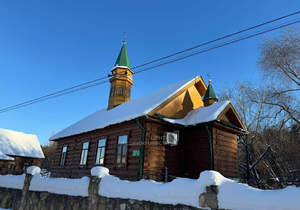 Дом 407м&sup2;, 3-этажный, участок 7 сот.  