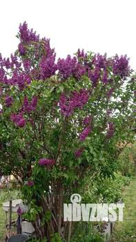 Дом 45м&sup2;, 2-этажный, участок 4 сот.  