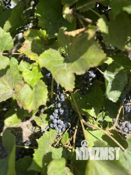 Дом 41м&sup2;, 2-этажный, участок 6 сот.  