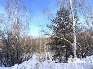 Дом 148м&sup2;, 2-этажный, участок 5 сот.  