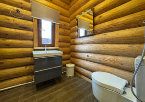 Дом 150м², 1-этажный, участок 4 сот.  