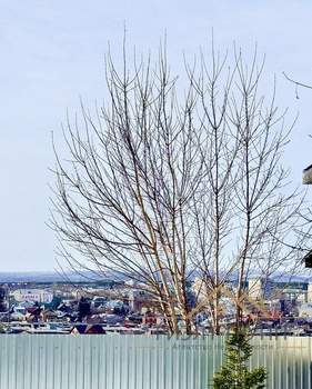 Дом 36м&sup2;, 1-этажный, участок 4 сот.  