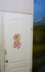 Фото комнаты на продажу (6)