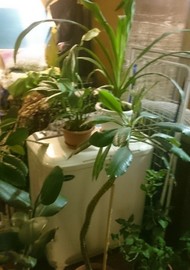 Фото комнаты на продажу (8)