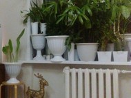 Фото комнаты на продажу (6)