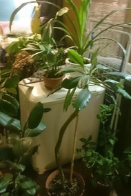 Фото комнаты на продажу (3)