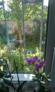 Фото комнаты на продажу (7)