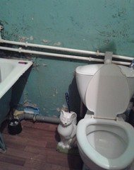 Фото комнаты на продажу (8)