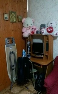 Фото комнаты на продажу (3)