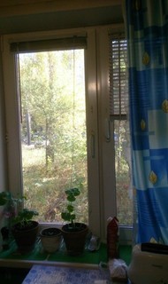 Фото комнаты на продажу (4)