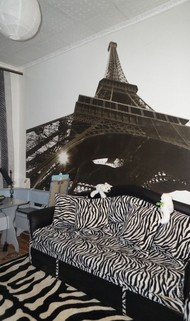 Фото комнаты на продажу (3)