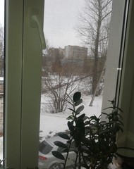 Фото комнаты на продажу (5)