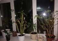 Фото комнаты на продажу (6)