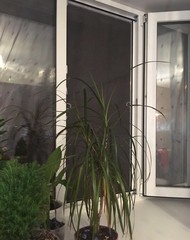 Фото комнаты на продажу (5)