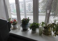 Фото комнаты на продажу (6)