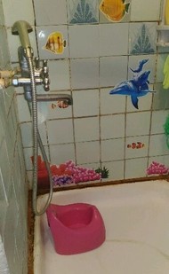 Фото комнаты на продажу (4)