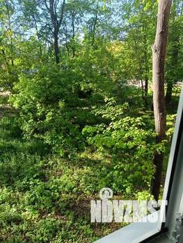 3-к квартира, посуточно, 57м2, 2/5 этаж