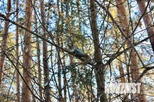 1-к квартира, посуточно, 35м2, 5/5 этаж