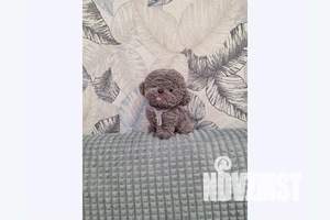 1-к квартира, посуточно, 50м2, 1/9 этаж