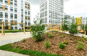 Студия квартира, на длительный срок, 27м2, 2/19 этаж