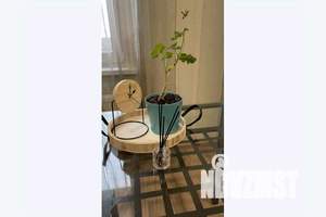 1-к квартира, посуточно, 30м2, 19/19 этаж