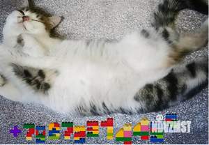 1-к квартира, посуточно, 38м2, 9/10 этаж