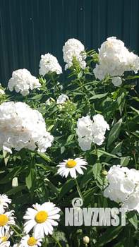 2-к квартира, на длительный срок, 64м2, 12/17 этаж