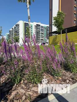 1-к квартира, посуточно, 43м2, 4/9 этаж