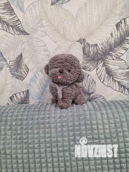 1-к квартира, посуточно, 44м2, 1/1 этаж