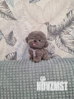 1-к квартира, посуточно, 44м2, 1/9 этаж