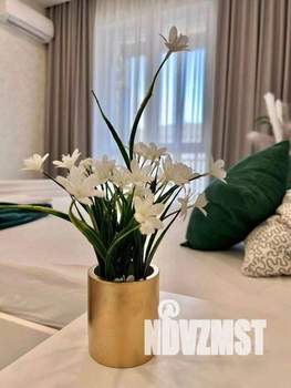 1-к квартира, посуточно, 75м2, 1/1 этаж