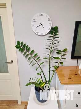 2-к квартира, посуточно, 45м2, 4/5 этаж