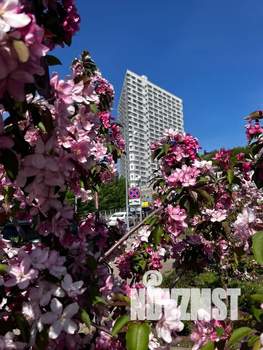 3-к квартира, посуточно, 90м2, 20/25 этаж