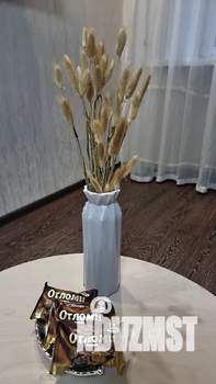 1-к квартира, посуточно, 31м2, 2/5 этаж