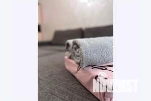 3-к квартира, посуточно, 80м2, 5/9 этаж