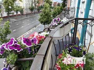 3-к квартира, посуточно, 90м2, 1/1 этаж