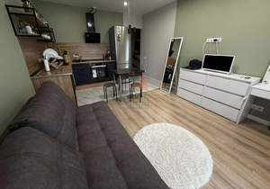 Студия квартира, на длительный срок, 28м2, 15/19 этаж