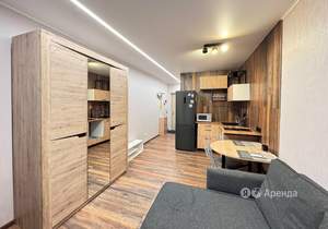 Студия квартира, на длительный срок, 22м2, 7/7 этаж