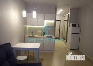 Студия квартира, на длительный срок, 27м2, 12/24 этаж