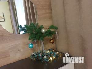 1-к квартира, посуточно, 30м2, 1/9 этаж