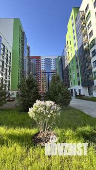 1-к квартира, на длительный срок, 41м2, 4/9 этаж