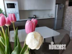 2-к квартира, посуточно, 53м2, 3/5 этаж