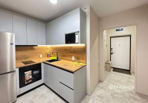 1-к квартира, на длительный срок, 30м2, 7/19 этаж