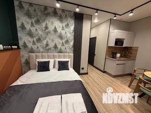 1-к квартира, посуточно, 30м2, 1/1 этаж