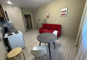 1-к квартира, на длительный срок, 55м2, 5/17 этаж