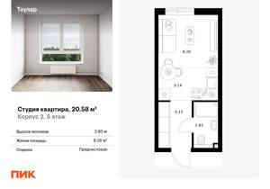 Студия квартира, вторичка, 21м2, 5/11 этаж